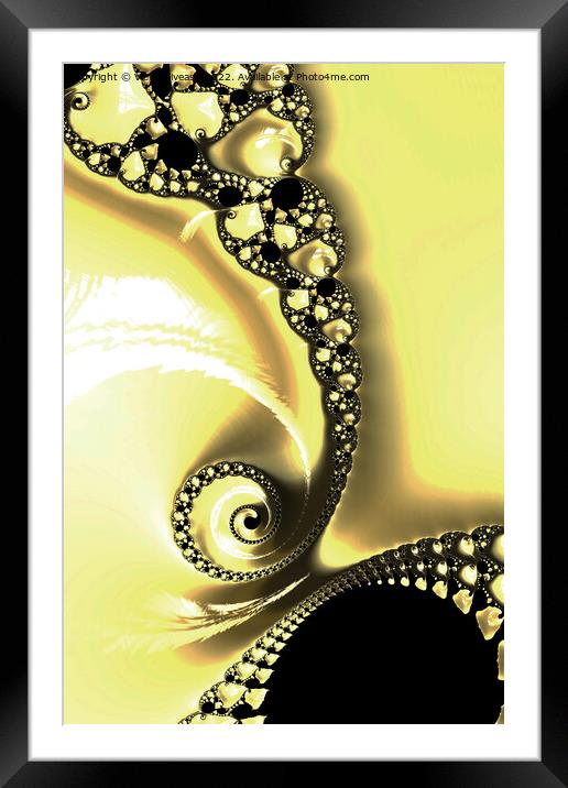 Yellow Lace Framed Mounted Print by Vickie Fiveash
