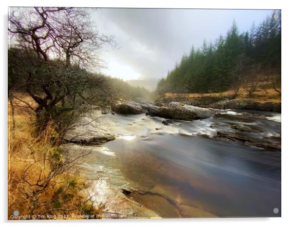 River Orchy Dreams Acrylic by Tim King