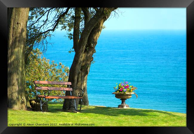 A Garden By The Sea In Lyme Regis  Framed Print by Alison Chambers