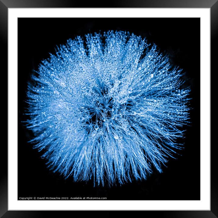 Cool Blue Framed Mounted Print by David McGeachie