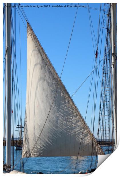 Sail of a sailboat Print by aurélie le moigne