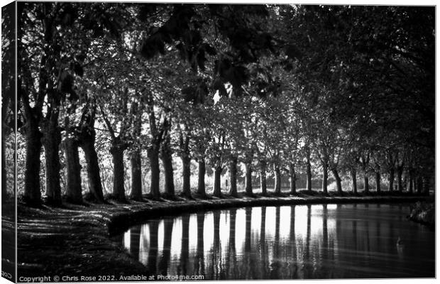 Canal du Midi at Capestang Canvas Print by Chris Rose