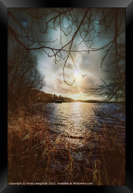 Loughmacrory spring sun Framed Print by Arnie Livingston