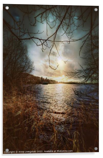 Loughmacrory spring sun Acrylic by Arnie Livingston