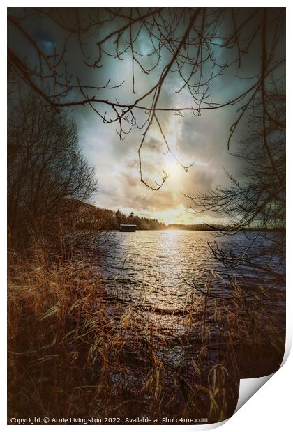 Loughmacrory spring sun Print by Arnie Livingston