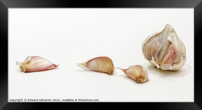 Garlic Framed Print by Edward Kilmartin