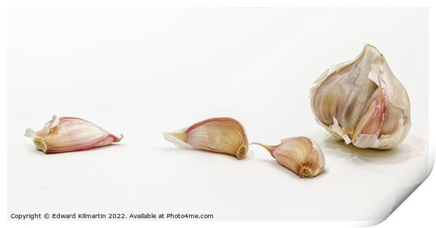 Garlic Print by Edward Kilmartin