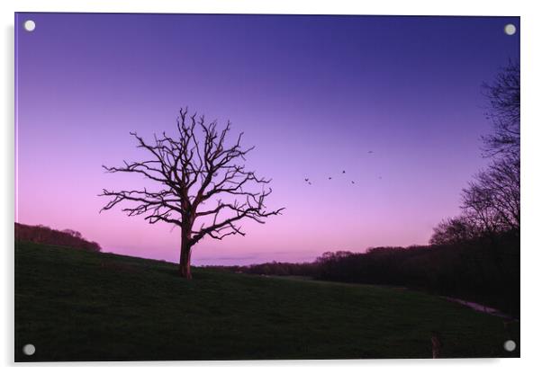 Winter Sunset I Acrylic by Mark Jones