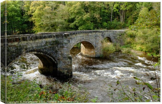 Pont Cysyllte  Wales Canvas Print by Diana Mower