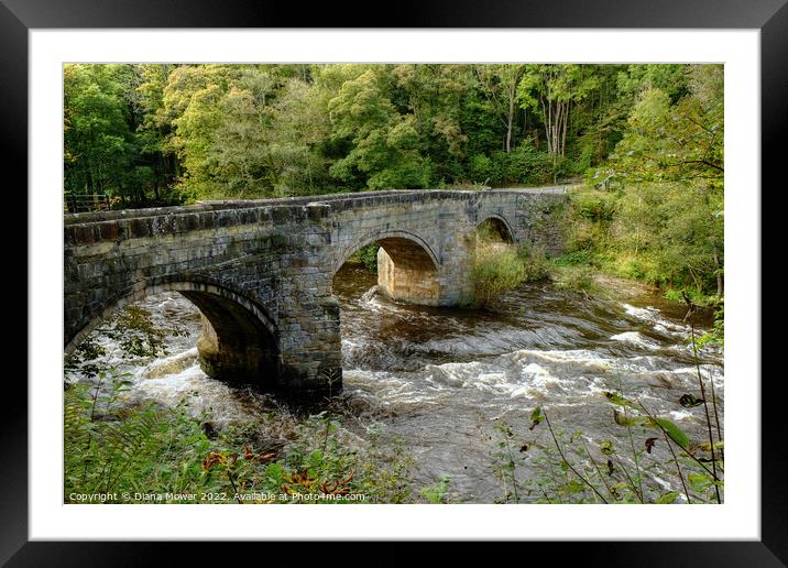 Pont Cysyllte  Wales Framed Mounted Print by Diana Mower