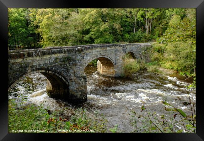 Pont Cysyllte  Wales Framed Print by Diana Mower