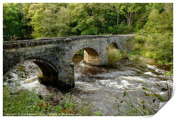 Pont Cysyllte  Wales Print by Diana Mower