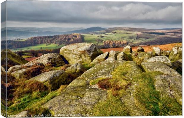 The view from Carhead Rocks. Canvas Print by Chris Drabble