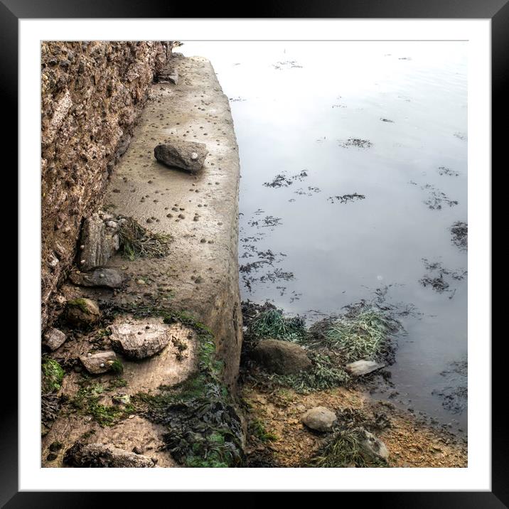 Harbour wall  Framed Mounted Print by Steve Taylor