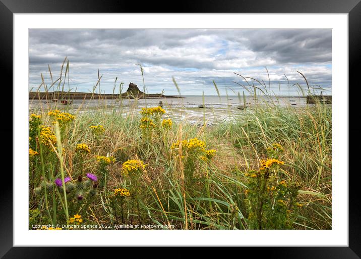 Holy Island in Bloom Framed Mounted Print by Duncan Spence