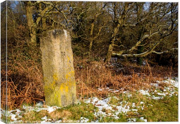 Milestone near Yorkley Forest of Dean Canvas Print by Nick Jenkins
