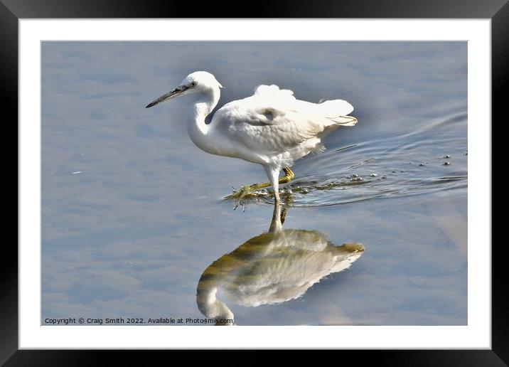 Little Egret reflection Framed Mounted Print by Craig Smith