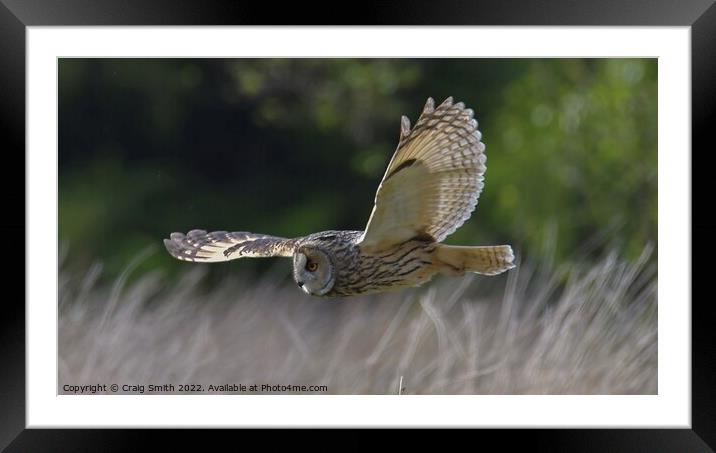 Long Eared Owl Framed Mounted Print by Craig Smith