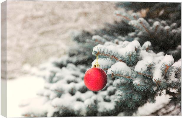 Red ball ornament on outdoor blue spruce tree during snow storm Canvas Print by Thomas Baker