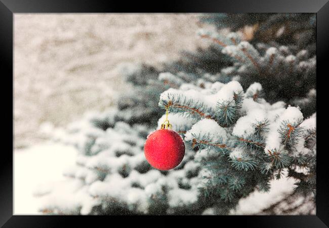 Red ball ornament on outdoor blue spruce tree during snow storm Framed Print by Thomas Baker