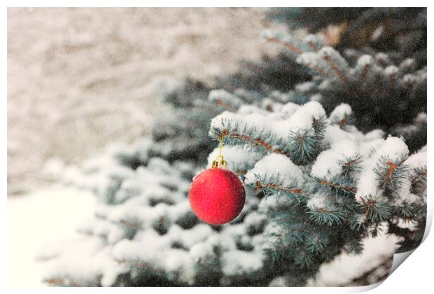 Red ball ornament on outdoor blue spruce tree during snow storm Print by Thomas Baker