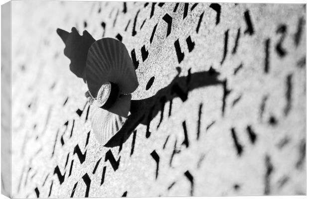Poppy in black and white Canvas Print by Jason Wells