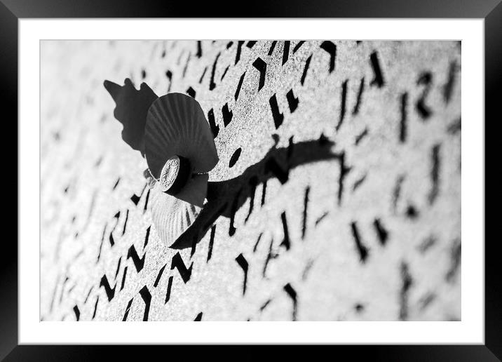 Poppy in black and white Framed Mounted Print by Jason Wells