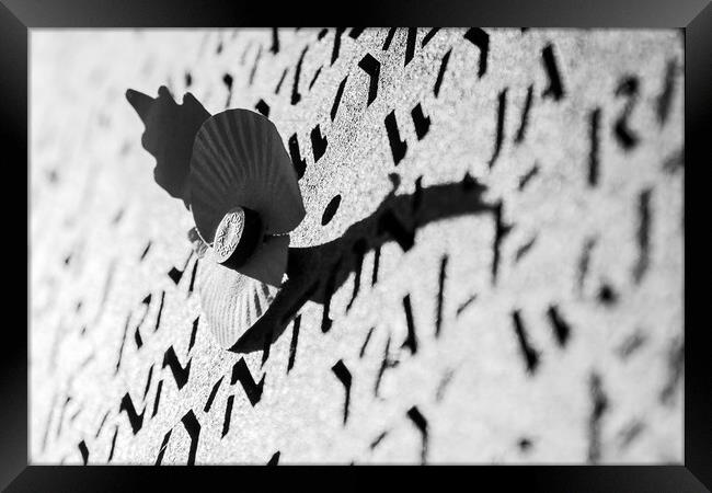 Poppy in black and white Framed Print by Jason Wells