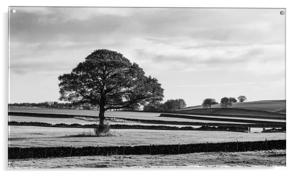 Derbyshire Dales in monochrome Acrylic by Jason Wells