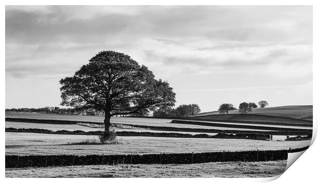 Derbyshire Dales in monochrome Print by Jason Wells