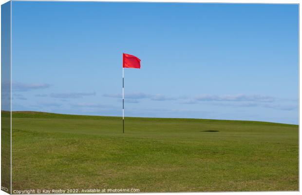 I'd rather be playing golf Canvas Print by Kay Roxby