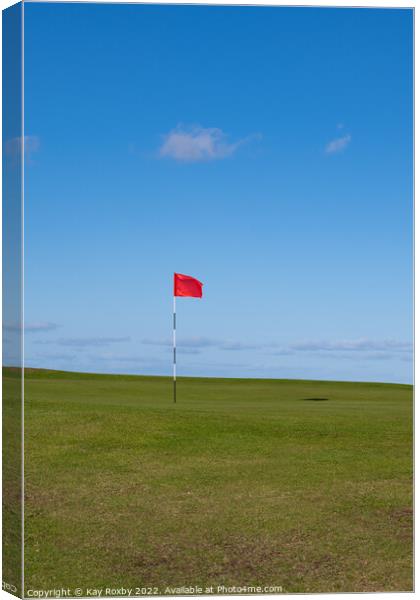 I'd rather be playing golf Canvas Print by Kay Roxby