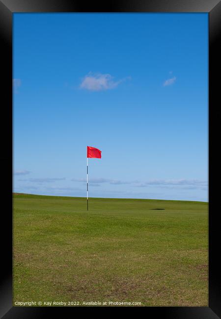 I'd rather be playing golf Framed Print by Kay Roxby
