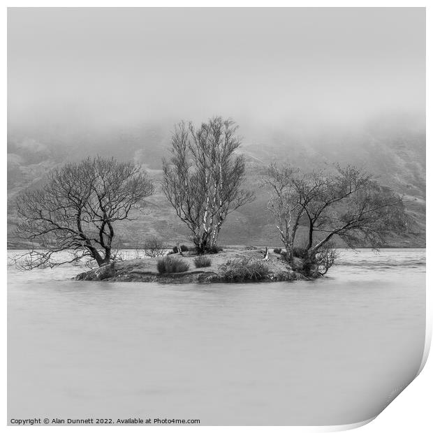 Tree Thirds Print by Alan Dunnett