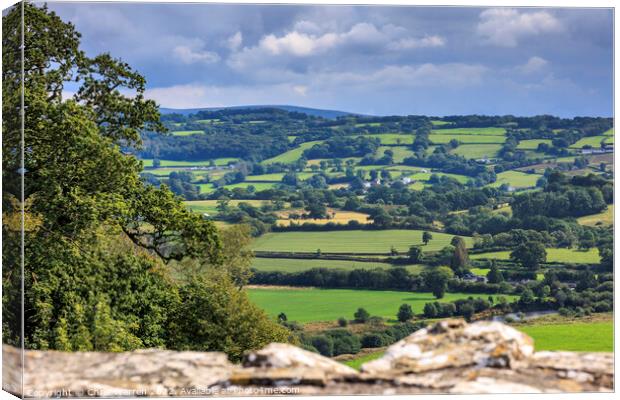 View from Dinefwr Castle across the Towy Valley  Canvas Print by Chris Warren