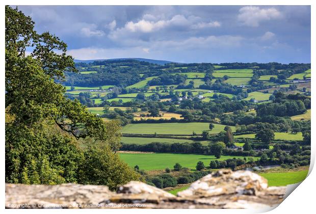 View from Dinefwr Castle across the Towy Valley  Print by Chris Warren