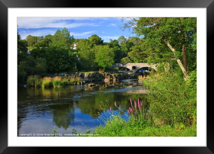 River Teifi Cenarth Carmarthenshire Wales Framed Mounted Print by Chris Warren