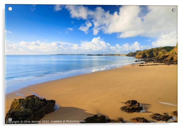 Monkstone Beach Tenby Pembrokeshire Wales Acrylic by Chris Warren