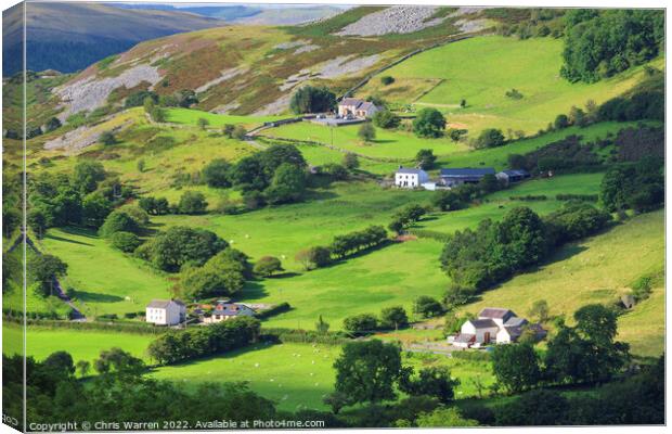Lush green hillside of Tawe Valley Brecon Powys  Canvas Print by Chris Warren