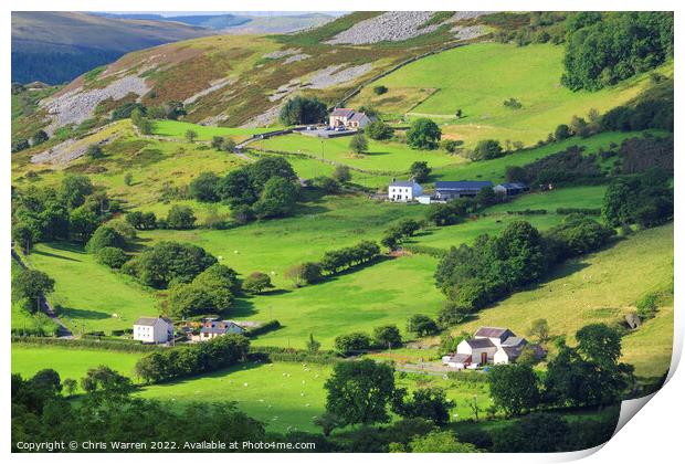 Lush green hillside of Tawe Valley Brecon Powys  Print by Chris Warren