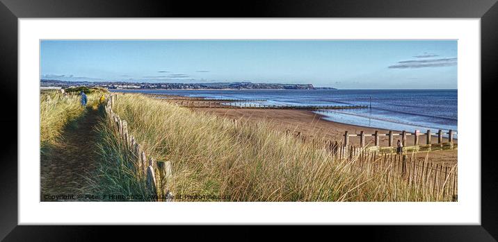 View Over The Dunes Dawlish Warren Framed Mounted Print by Peter F Hunt