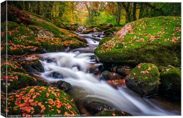Autumn colours on the River Avon, Dartmoor Canvas Print by Gary Holpin