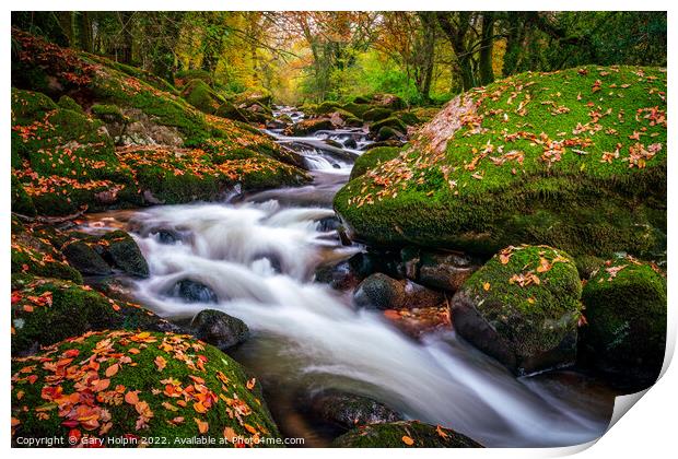 Autumn colours on the River Avon, Dartmoor Print by Gary Holpin
