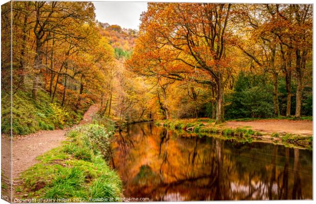 Dartmoor autumn reflections Canvas Print by Gary Holpin