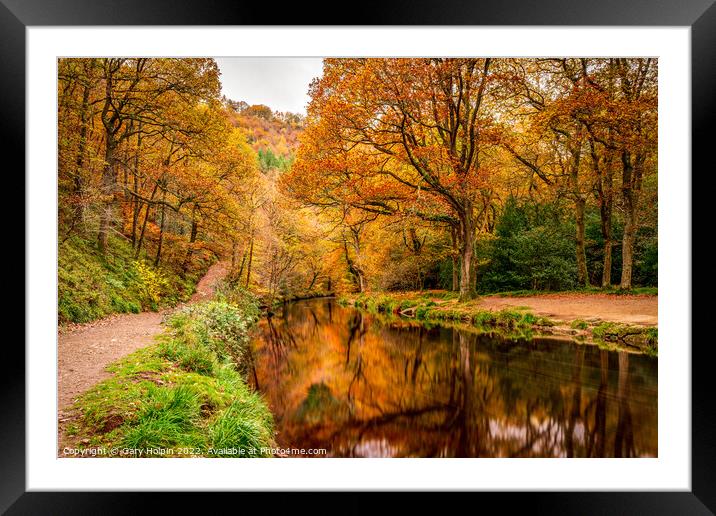 Dartmoor autumn reflections Framed Mounted Print by Gary Holpin