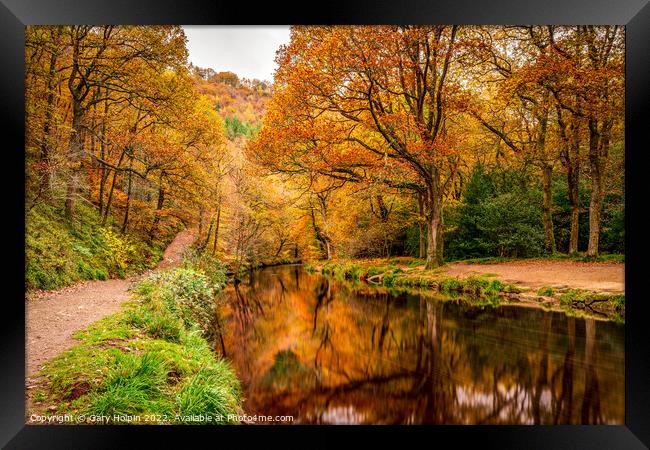 Dartmoor autumn reflections Framed Print by Gary Holpin