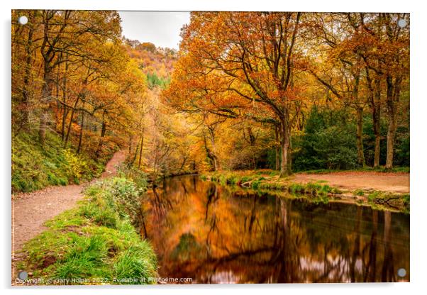 Dartmoor autumn reflections Acrylic by Gary Holpin