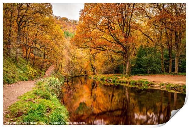 Dartmoor autumn reflections Print by Gary Holpin