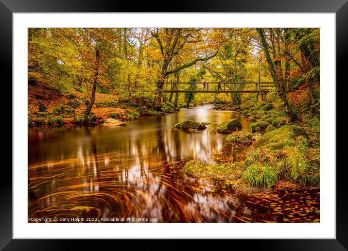 Dartmoor autumn colours Framed Mounted Print by Gary Holpin