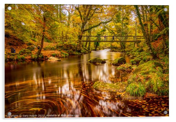 Dartmoor autumn colours Acrylic by Gary Holpin